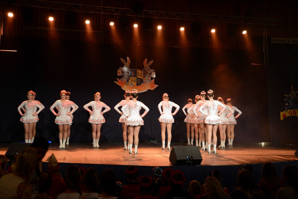 ../Images/Dansmarieke festival 2015 174.jpg